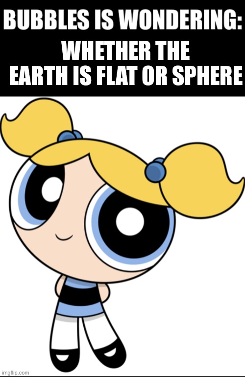 I think the earth is round. Bubbles might think the earth is flat. Idk | WHETHER THE EARTH IS FLAT OR SPHERE | image tagged in bubbles is wondering | made w/ Imgflip meme maker