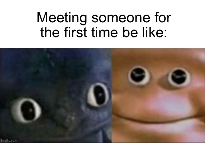 Awkward | Meeting someone for the first time be like: | image tagged in blank stare dragon,memes | made w/ Imgflip meme maker