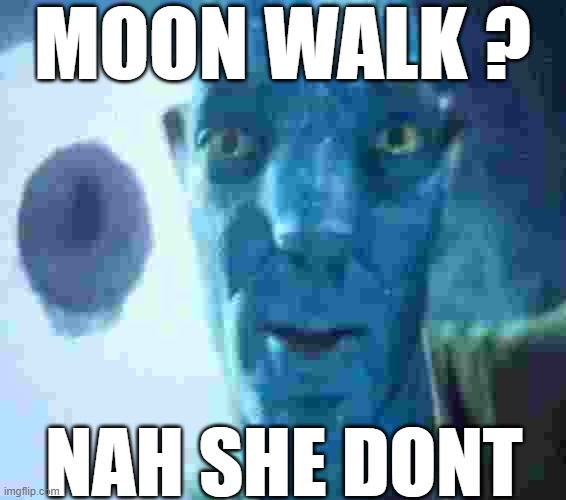 Nah why | MOON WALK ? NAH SHE DONT | image tagged in avatar guy,crazy | made w/ Imgflip meme maker