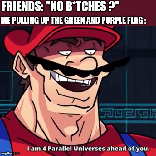 MUAHAHAHA (pls laugh) | FRIENDS: "NO B*TCHES ?"; ME PULLING UP THE GREEN AND PURPLE FLAG : | image tagged in i am 4 parallel universes ahead of you,lgbtq,aroace,memes,funny,actually it's quite unfunny | made w/ Imgflip meme maker