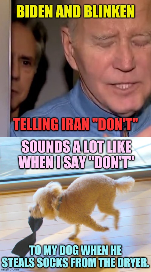 Isn't It A Fair Comparison? | BIDEN AND BLINKEN; TELLING IRAN "DON'T"; SOUNDS A LOT LIKE WHEN I SAY "DON'T"; TO MY DOG WHEN HE STEALS SOCKS FROM THE DRYER. | image tagged in blinken and biden,iran,don't,dog,politics,memes | made w/ Imgflip meme maker