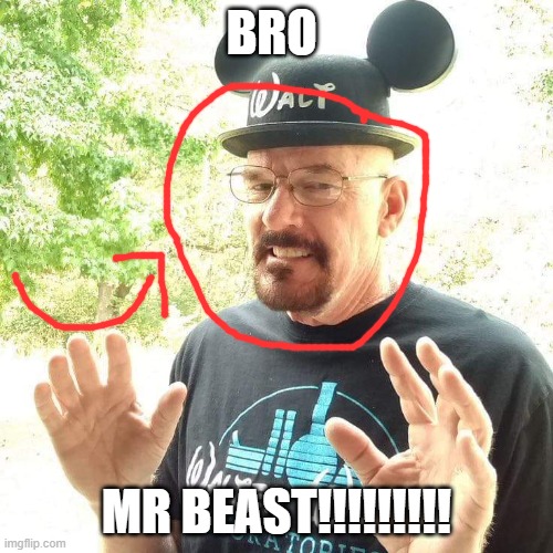 BRO; MR BEAST!!!!!!!!! | image tagged in mr beast | made w/ Imgflip meme maker