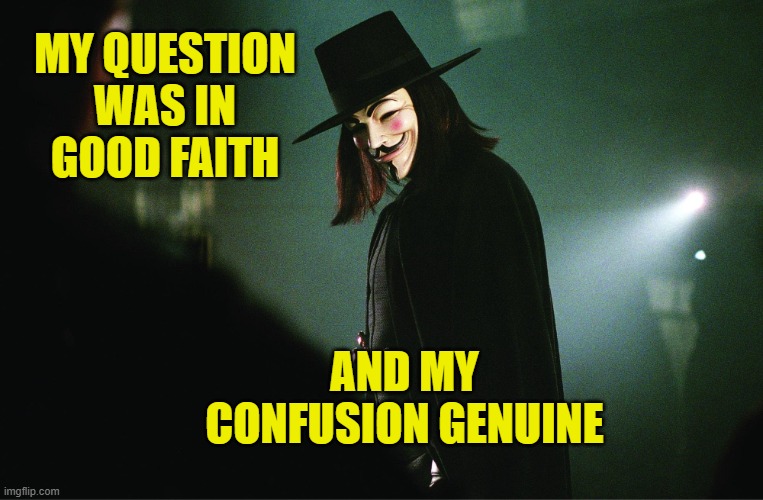 V for Vendetta | MY QUESTION WAS IN GOOD FAITH AND MY CONFUSION GENUINE | image tagged in v for vendetta | made w/ Imgflip meme maker