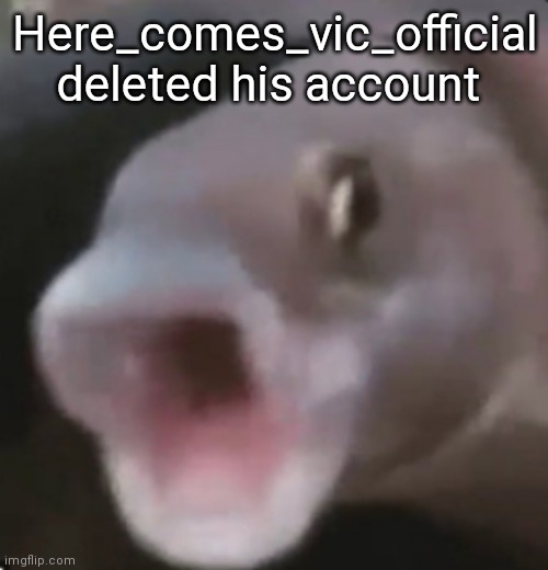 FINALLY | Here_comes_vic_official deleted his account | image tagged in poggers fish | made w/ Imgflip meme maker