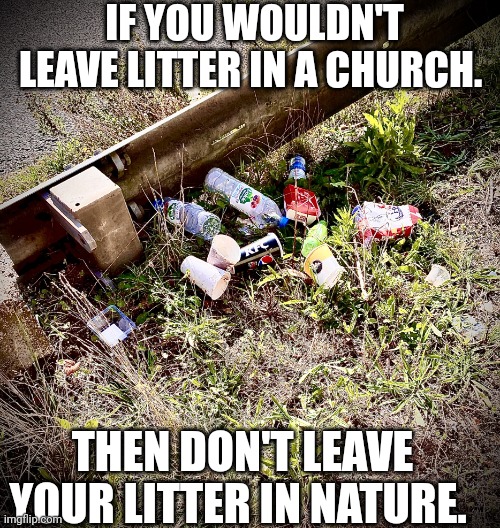 Seriously!? | IF YOU WOULDN'T LEAVE LITTER IN A CHURCH. THEN DON'T LEAVE YOUR LITTER IN NATURE. | image tagged in litter,memes,nature,pagan | made w/ Imgflip meme maker