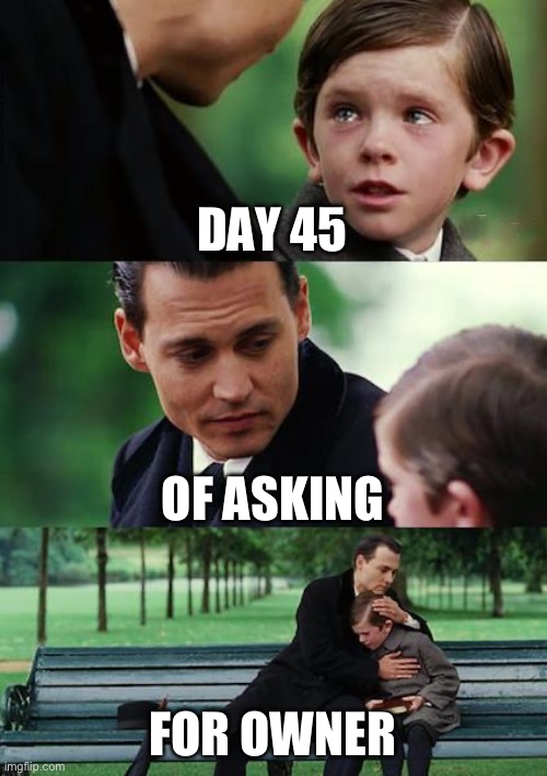 Finding Neverland | DAY 45; OF ASKING; FOR OWNER | image tagged in memes,finding neverland | made w/ Imgflip meme maker