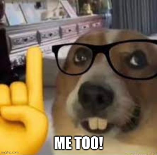 nerd dog | ME TOO! | image tagged in nerd dog | made w/ Imgflip meme maker