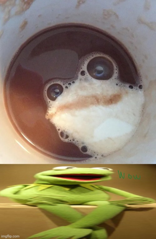 Frog optical illusion | image tagged in kermit the frog wow,optical illusion,frog,memes,coffee,frogs | made w/ Imgflip meme maker