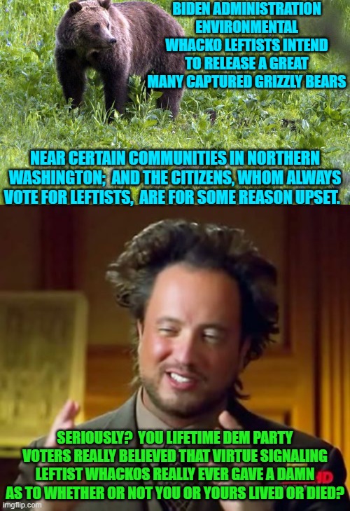 I guess that reality is coming as a real shock to these particular Dem Party voters. | BIDEN ADMINISTRATION ENVIRONMENTAL WHACKO LEFTISTS INTEND TO RELEASE A GREAT MANY CAPTURED GRIZZLY BEARS; NEAR CERTAIN COMMUNITIES IN NORTHERN WASHINGTON;  AND THE CITIZENS, WHOM ALWAYS VOTE FOR LEFTISTS,  ARE FOR SOME REASON UPSET. SERIOUSLY?  YOU LIFETIME DEM PARTY VOTERS REALLY BELIEVED THAT VIRTUE SIGNALING LEFTIST WHACKOS REALLY EVER GAVE A DAMN AS TO WHETHER OR NOT YOU OR YOURS LIVED OR DIED? | image tagged in yep | made w/ Imgflip meme maker