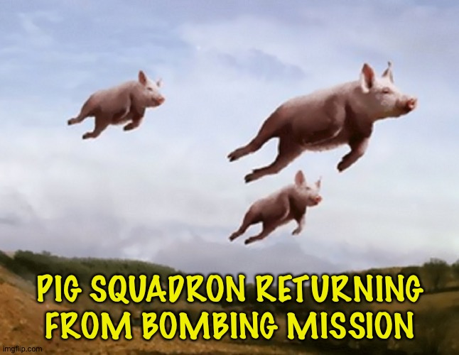 Pigs Fly | PIG SQUADRON RETURNING FROM BOMBING MISSION | image tagged in pigs fly | made w/ Imgflip meme maker