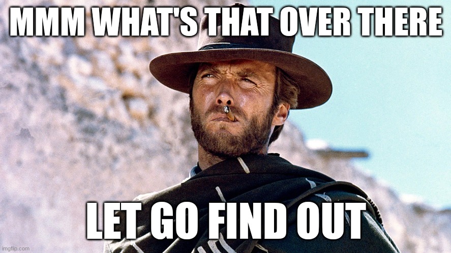 MMM WHAT'S THAT OVER THERE; LET GO FIND OUT | image tagged in old cowboy | made w/ Imgflip meme maker