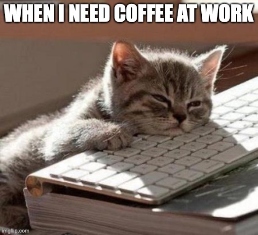 tired cat | WHEN I NEED COFFEE AT WORK | image tagged in tired cat | made w/ Imgflip meme maker