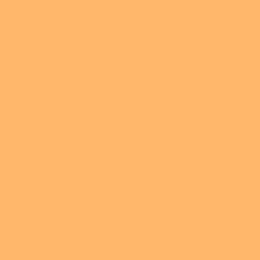 Random colors: Very Light Tangelo (Hex code: #ffb76b) | made w/ Imgflip meme maker