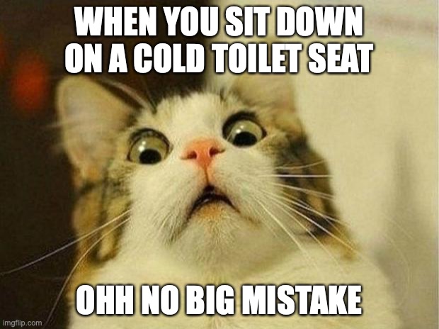 Scared Cat Meme | WHEN YOU SIT DOWN ON A COLD TOILET SEAT; OHH NO BIG MISTAKE | image tagged in memes,scared cat | made w/ Imgflip meme maker