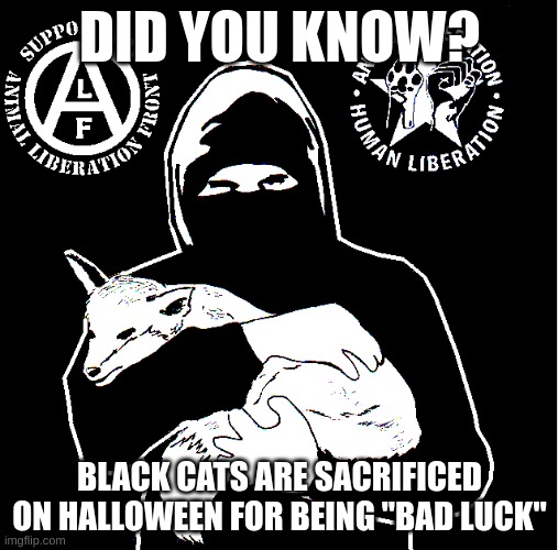if you see a black cat rescue it | DID YOU KNOW? BLACK CATS ARE SACRIFICED ON HALLOWEEN FOR BEING "BAD LUCK" | image tagged in animal liberation front | made w/ Imgflip meme maker