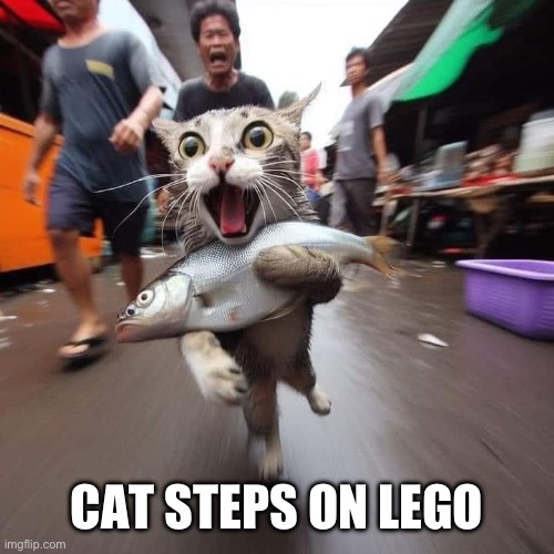 Lego cat burglar | CAT STEPS ON LEGO | image tagged in runaway cat with fish,lego,legos,thief,fish market | made w/ Imgflip meme maker