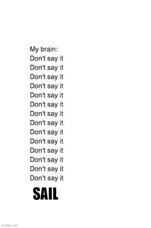 Brain: Don't Say It | SAIL | image tagged in brain don't say it | made w/ Imgflip meme maker