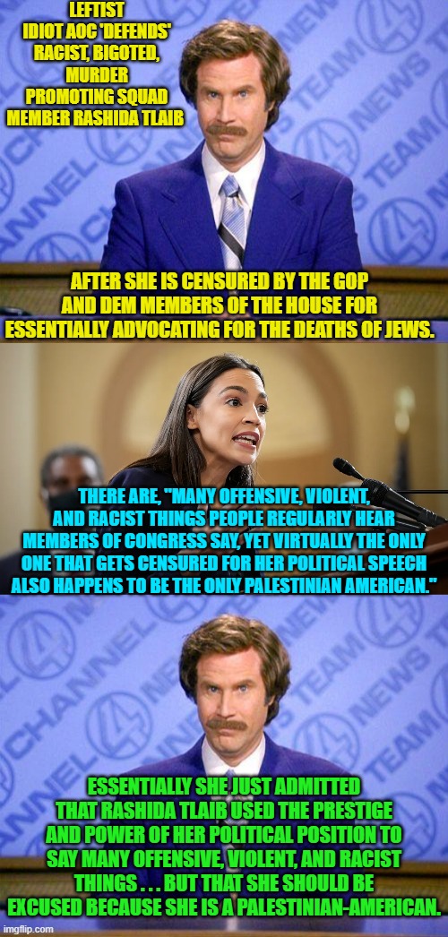 Remember that NOTHING is wrong if yo are a leftist. | LEFTIST IDIOT AOC 'DEFENDS' RACIST, BIGOTED, MURDER PROMOTING SQUAD MEMBER RASHIDA TLAIB; AFTER SHE IS CENSURED BY THE GOP AND DEM MEMBERS OF THE HOUSE FOR ESSENTIALLY ADVOCATING FOR THE DEATHS OF JEWS. THERE ARE, "MANY OFFENSIVE, VIOLENT, AND RACIST THINGS PEOPLE REGULARLY HEAR MEMBERS OF CONGRESS SAY, YET VIRTUALLY THE ONLY ONE THAT GETS CENSURED FOR HER POLITICAL SPEECH ALSO HAPPENS TO BE THE ONLY PALESTINIAN AMERICAN."; ESSENTIALLY SHE JUST ADMITTED THAT RASHIDA TLAIB USED THE PRESTIGE AND POWER OF HER POLITICAL POSITION TO SAY MANY OFFENSIVE, VIOLENT, AND RACIST THINGS . . . BUT THAT SHE SHOULD BE EXCUSED BECAUSE SHE IS A PALESTINIAN-AMERICAN. | image tagged in yep | made w/ Imgflip meme maker
