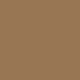 Random Colors: Pale Brown (#987654) | made w/ Imgflip meme maker