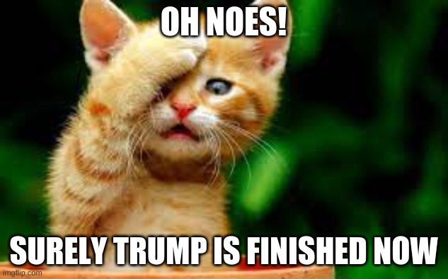 oh noes | OH NOES! SURELY TRUMP IS FINISHED NOW | made w/ Imgflip meme maker