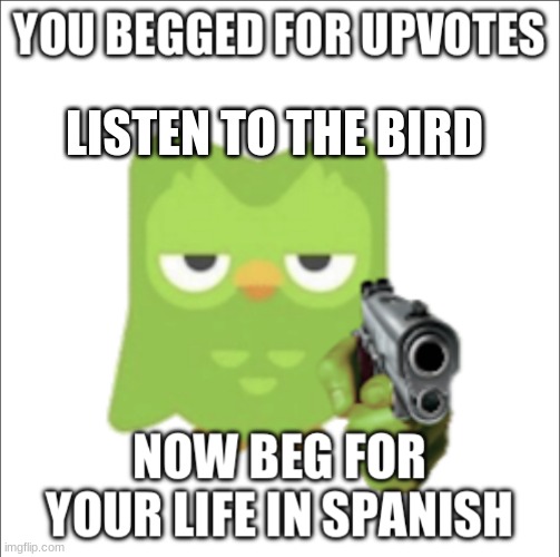 USE THIS IF YOU FIND AN UPVOTE BEGGAR | LISTEN TO THE BIRD | image tagged in you begged for upvotes | made w/ Imgflip meme maker