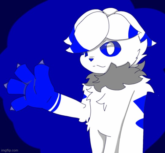 Joey Bluca | image tagged in cat | made w/ Imgflip meme maker