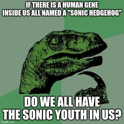 Hear the Sonic Youth! Crush 40's of course | IF THERE IS A HUMAN GENE INSIDE US ALL NAMED A "SONIC HEDGEHOG"; DO WE ALL HAVE THE SONIC YOUTH IN US? | image tagged in memes,philosoraptor | made w/ Imgflip meme maker