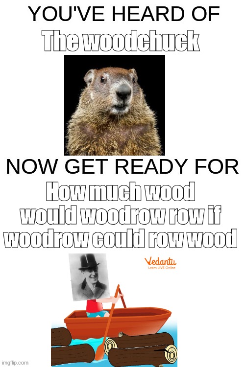 how much wood? | The woodchuck; How much wood would woodrow row if woodrow could row wood | image tagged in you've heard of ______,woodchuck,boat,funny,memes,yes | made w/ Imgflip meme maker