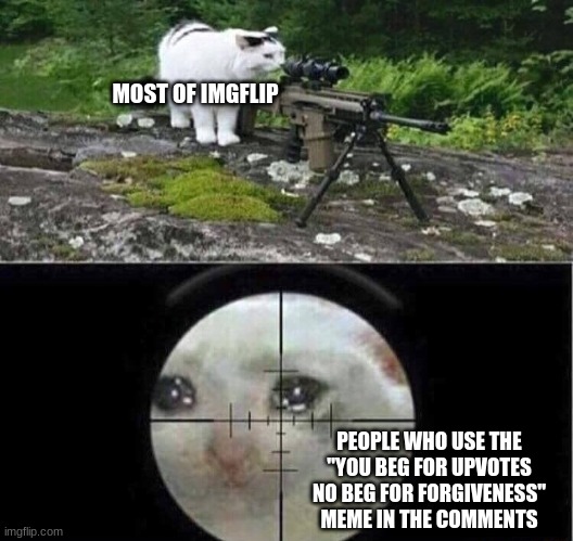 If you guys chain that meme I swear to | MOST OF IMGFLIP; PEOPLE WHO USE THE "YOU BEG FOR UPVOTES NO BEG FOR FORGIVENESS" MEME IN THE COMMENTS | image tagged in sniper cat | made w/ Imgflip meme maker