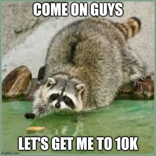 We need to do this | image tagged in 10k,10000 points,almost there,help me,just do it,lets go | made w/ Imgflip meme maker