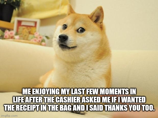 This happened to me in 12 years | ME ENJOYING MY LAST FEW MOMENTS IN LIFE AFTER THE CASHIER ASKED ME IF I WANTED THE RECEIPT IN THE BAG AND I SAID THANKS YOU TOO. | image tagged in memes,doge 2 | made w/ Imgflip meme maker