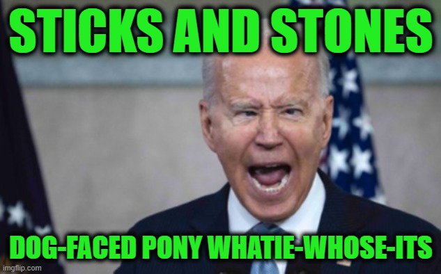 Biden Scream | STICKS AND STONES DOG-FACED PONY WHATIE-WHOSE-ITS | image tagged in biden scream | made w/ Imgflip meme maker