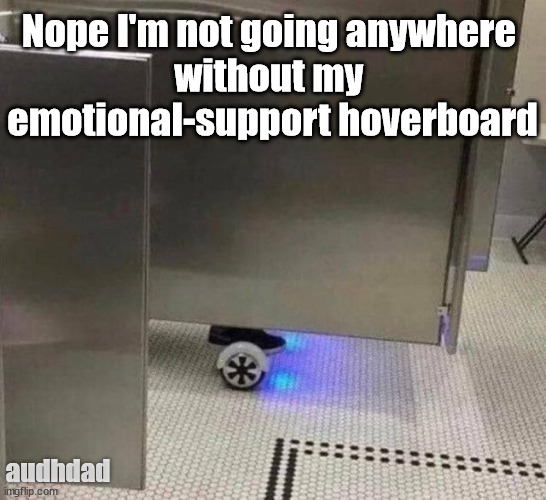 Emotional support hover | Nope I'm not going anywhere 
without my 
emotional-support hoverboard; audhdad | image tagged in hoverboard in the toilet,memes,emotional support,hoverboard,toilet,restroom | made w/ Imgflip meme maker