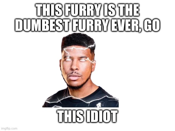 Do it now | THIS FURRY IS THE DUMBEST FURRY EVER, GO; THIS IDIOT | image tagged in oh wow are you actually reading these tags | made w/ Imgflip meme maker