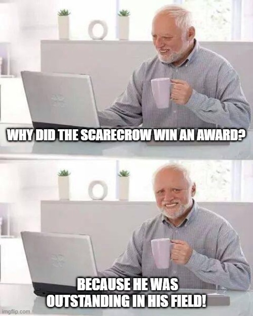 Hide the Pain Harold | WHY DID THE SCARECROW WIN AN AWARD? BECAUSE HE WAS OUTSTANDING IN HIS FIELD! | image tagged in memes,hide the pain harold,fun,birds,dad joke | made w/ Imgflip meme maker