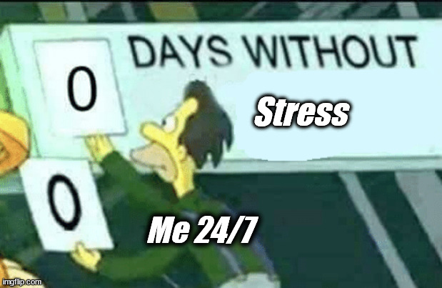 Technically true especially with school (didnt know which stream to put it in) | Stress; Me 24/7 | image tagged in 0 days without lenny simpsons,stress | made w/ Imgflip meme maker
