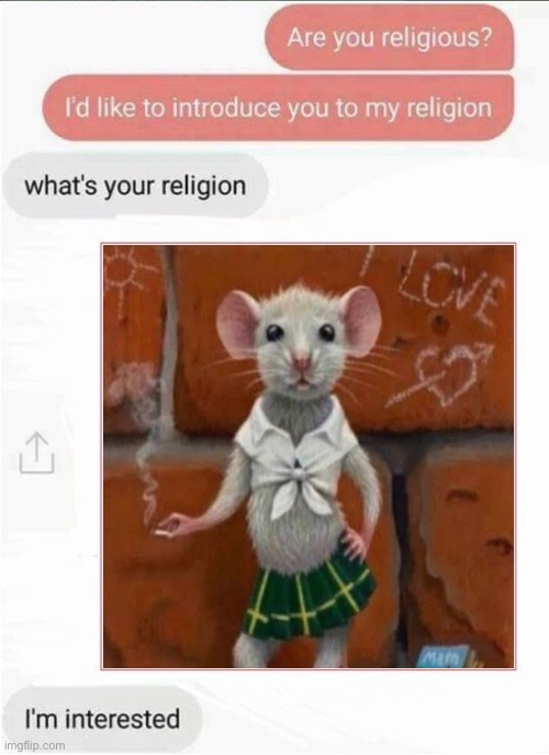 What is your religion? | image tagged in what is your religion | made w/ Imgflip meme maker