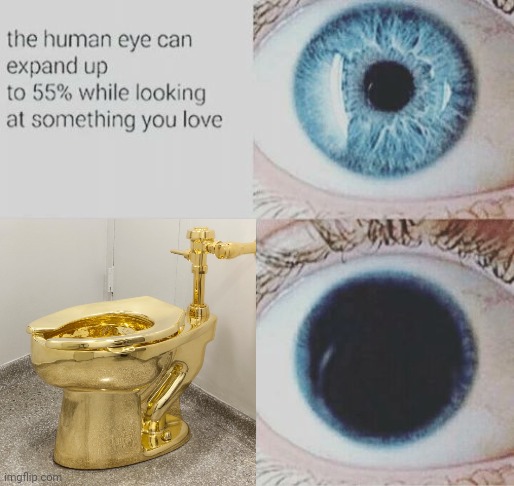 Gold toilet | image tagged in eye pupil expand,gold,toilet,memes,toilets,meme | made w/ Imgflip meme maker