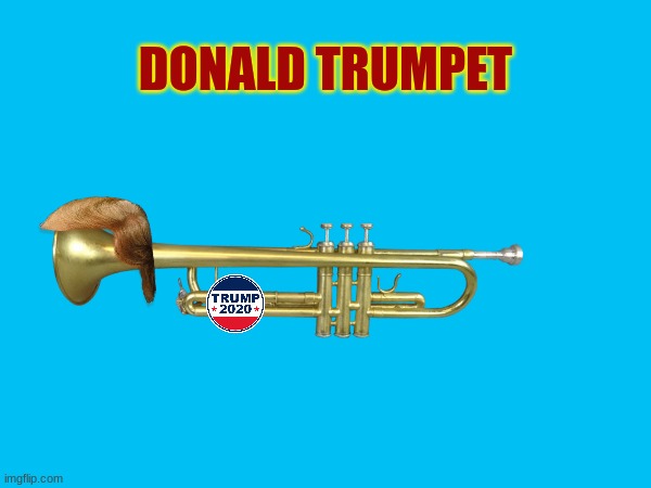 not politics, just shitposting | DONALD TRUMPET | image tagged in funny,not politics,shitpost,hehe | made w/ Imgflip meme maker