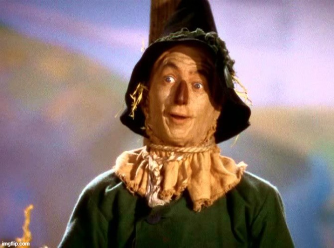 image tagged in wizard of oz scarecrow | made w/ Imgflip meme maker