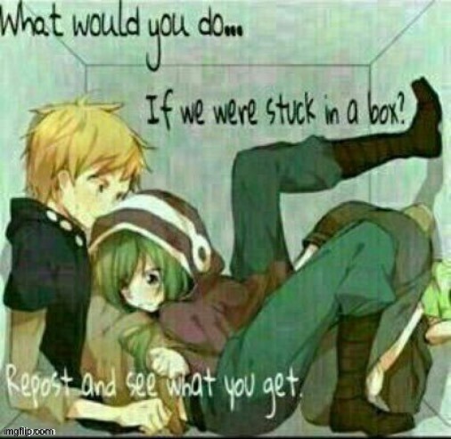Repost | image tagged in what would you do if we were stuck in a box | made w/ Imgflip meme maker