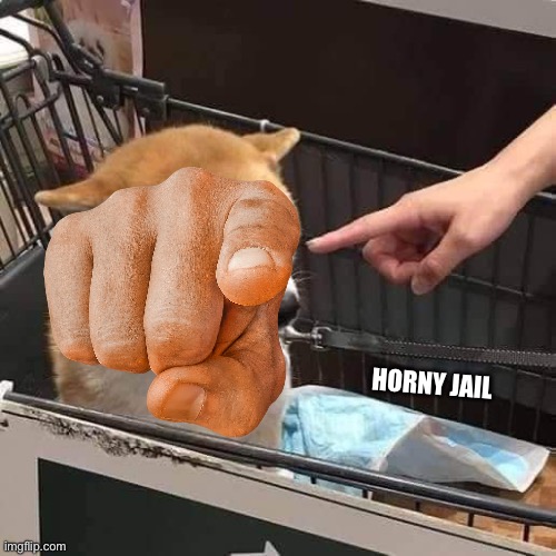 No horny | HORNY JAIL | image tagged in no horny | made w/ Imgflip meme maker