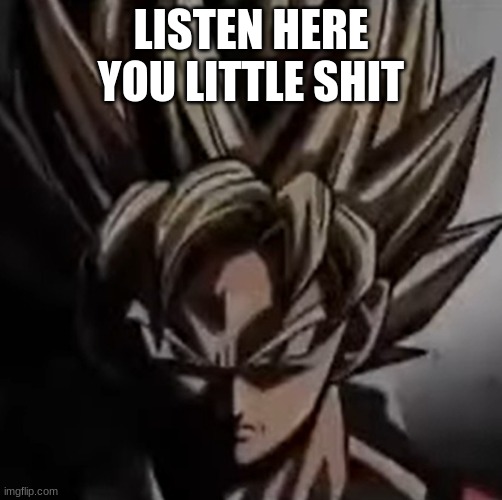 Mad goku meme | LISTEN HERE YOU LITTLE SHIT | image tagged in mad goku meme | made w/ Imgflip meme maker