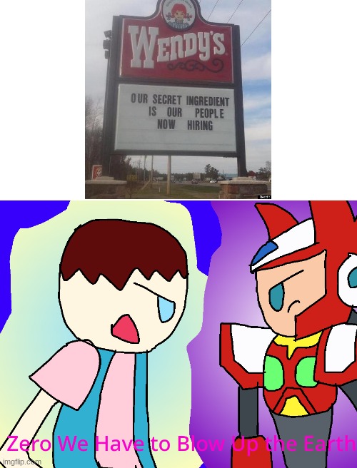 WHAT THE HECK IS WRONG WITH THIS SIGN | image tagged in zero we have to blow up the earth | made w/ Imgflip meme maker