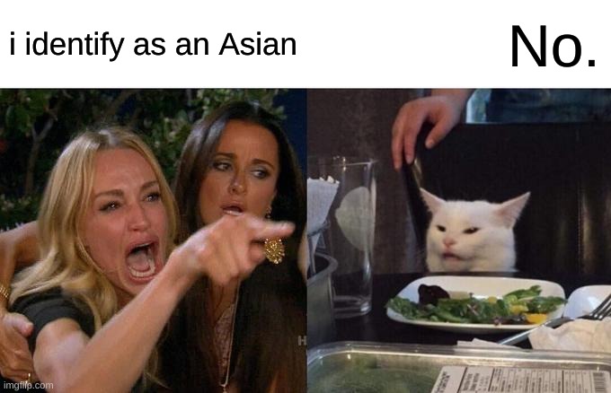 Woman Yelling At Cat | i identify as an Asian; No. | image tagged in memes,woman yelling at cat | made w/ Imgflip meme maker