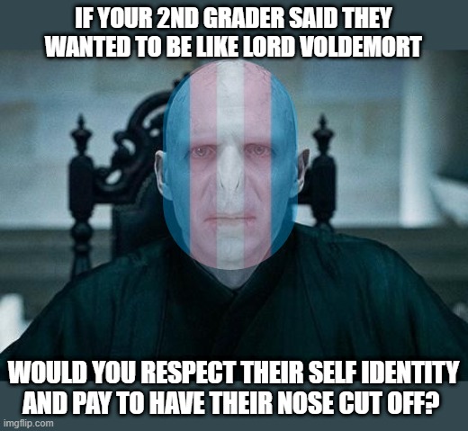 Lord Voldemort | IF YOUR 2ND GRADER SAID THEY WANTED TO BE LIKE LORD VOLDEMORT; WOULD YOU RESPECT THEIR SELF IDENTITY AND PAY TO HAVE THEIR NOSE CUT OFF? | image tagged in lord voldemort | made w/ Imgflip meme maker