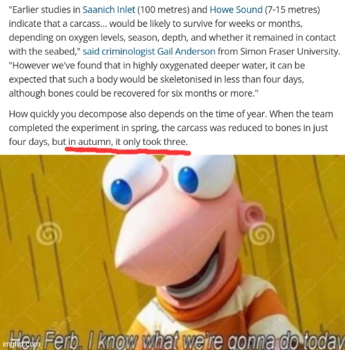 >:) | image tagged in hey ferb,dark humor | made w/ Imgflip meme maker
