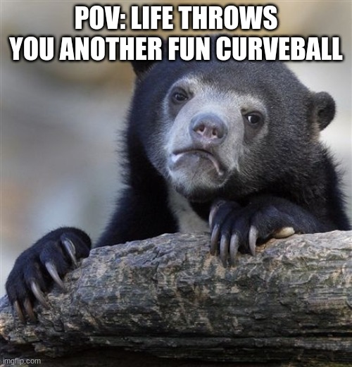 Part 1 of a meme | POV: LIFE THROWS YOU ANOTHER FUN CURVEBALL | image tagged in memes,confession bear | made w/ Imgflip meme maker
