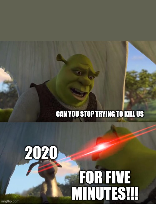 Shrek For Five Minutes | CAN YOU STOP TRYING TO KILL US; 2020; FOR FIVE MINUTES!!! | image tagged in shrek for five minutes | made w/ Imgflip meme maker