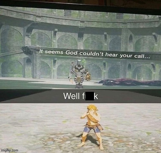 Well f**k | image tagged in idk,botw | made w/ Imgflip meme maker